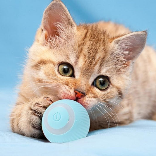 PowerBall Pelota Inteligente para Gatos - [PROMOCIÓN DISPONIBLE SOLO HOY]