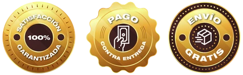 Entrenador FastFlex: Gimnasio en Casa - Imagen 20