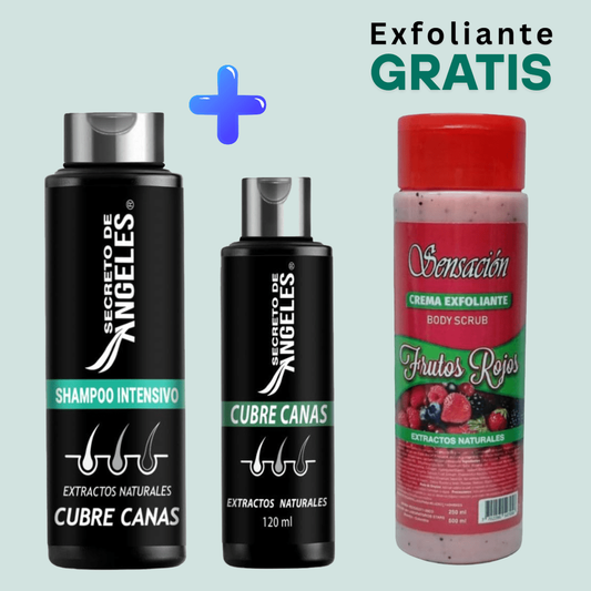 Shampoo Cubrecanas Secreto de Angeles - 1